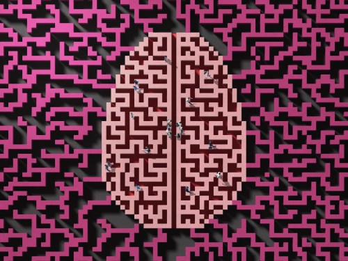 Oxford Names “Brain Rot” Word of the Year 2023