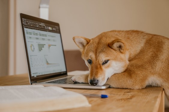 Amazon Refuses Remote Work Option for Employees