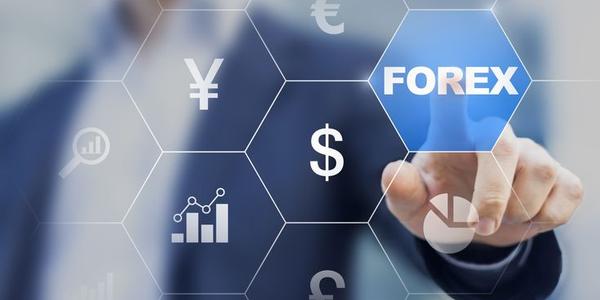 NFTs rebound: 2024 volume hits $8.8B – Nifty Newsletter