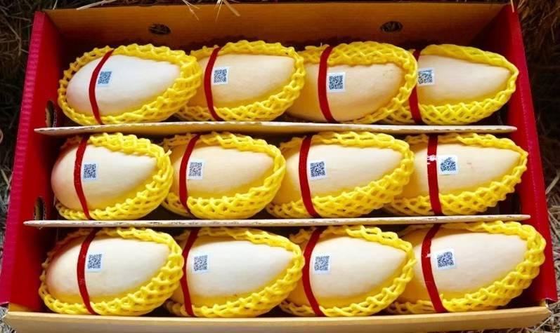 Thailand to Register Three More Geographical Indication Products in Japan This Year, Including Nam Dok Mai Si Thong Phitsanulok Mango, Hom Thong Bua Daeng Banana, and Phetchabun Sweet Tamarind Lamphun