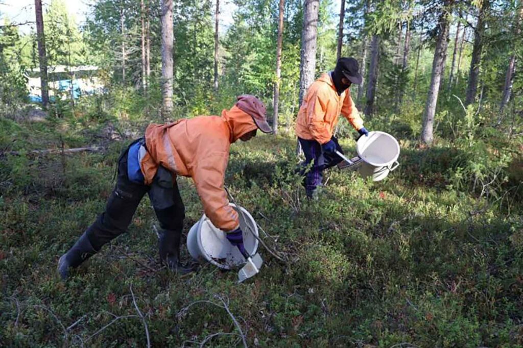 Finnish berry company CEO jailed for 3.5 years for 62 counts of aggravated human trafficking of Thai workers, ordered to pay €600,000